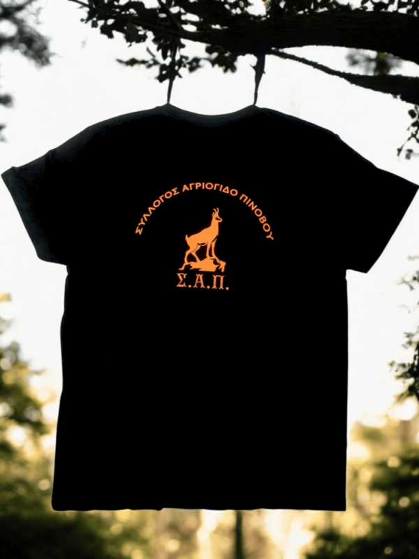 T-Shirt "ΣΑΠ" - Μαύρο με πορτοκαλί - Image 2