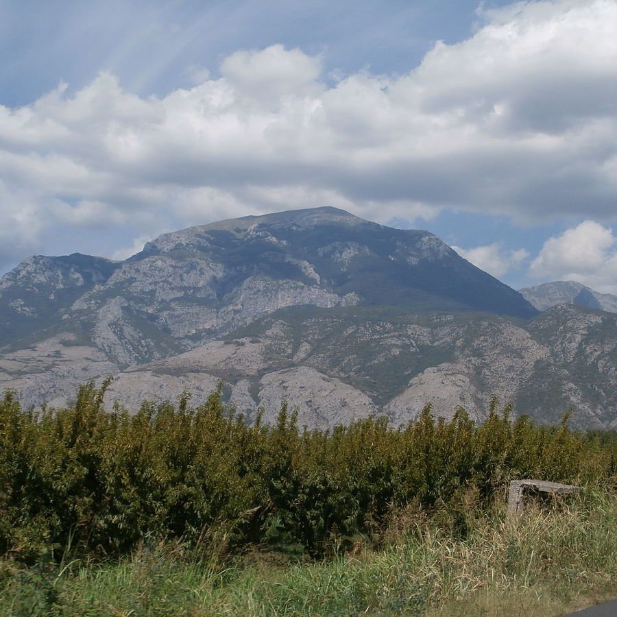 Το Πίνοβο