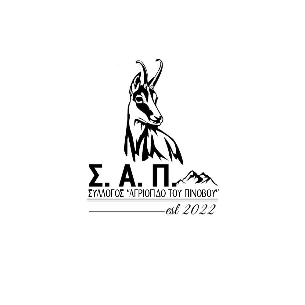 logo sap 6