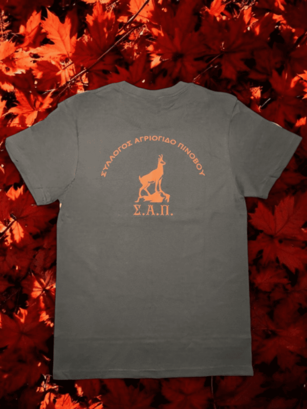 T-Shirt "ΣΑΠ" - Γκρι με πορτοκαλί