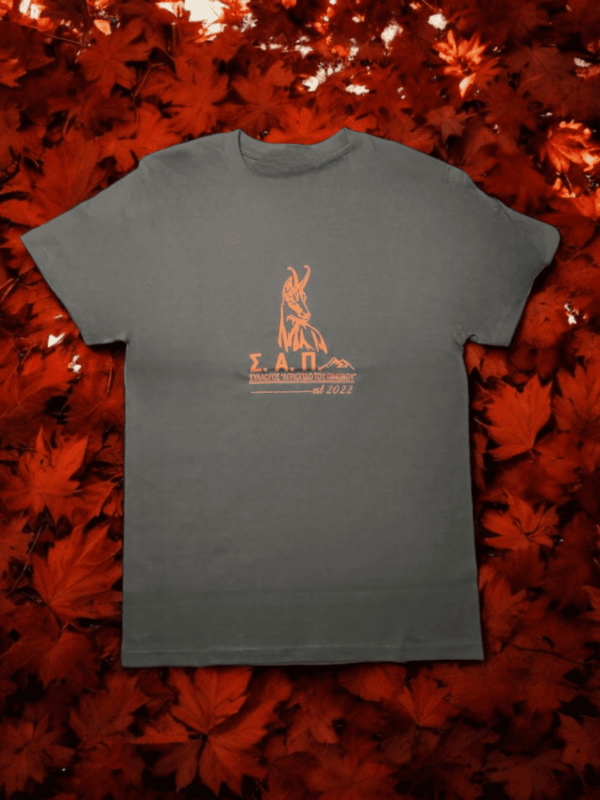 T-Shirt "ΣΑΠ" - Γκρι με πορτοκαλί - Image 2