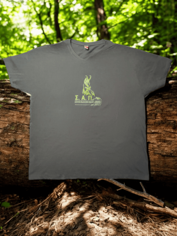 T-Shirt "ΣΑΠ" - Γκρι με πράσινο