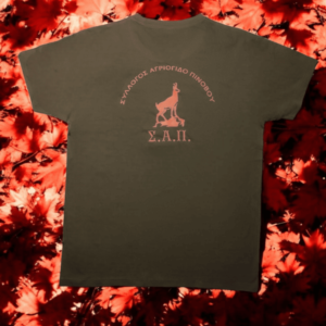 T-Shirt "ΣΑΠ" - Καφέ με πορτοκαλί