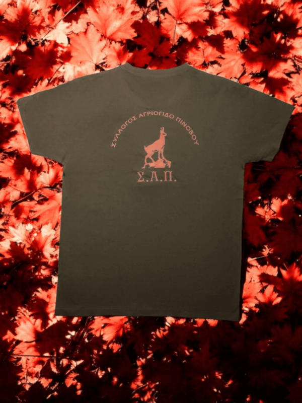 T-Shirt "ΣΑΠ" - Καφέ με πορτοκαλί