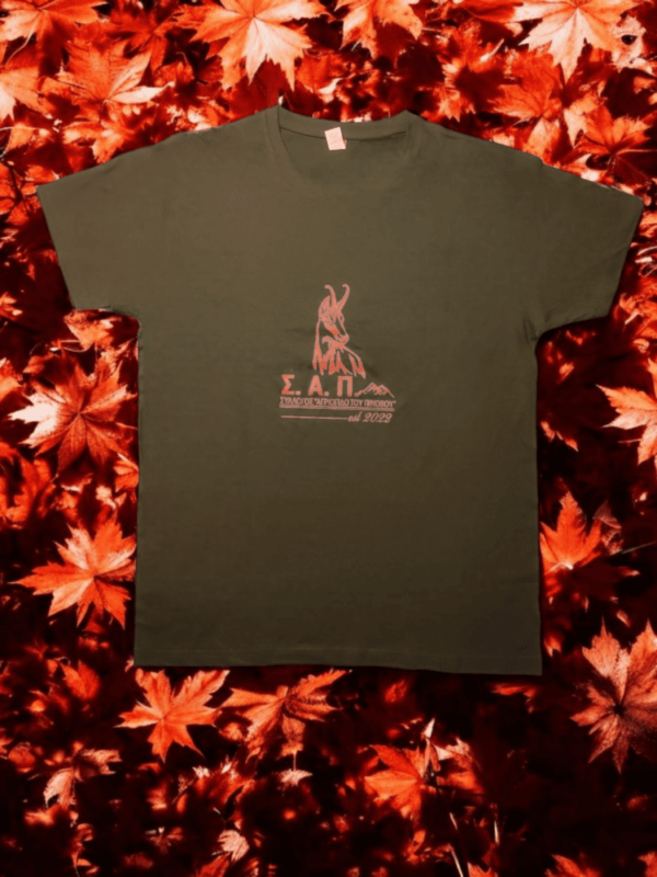 T-Shirt "ΣΑΠ" - Καφέ με πορτοκαλί - Image 2