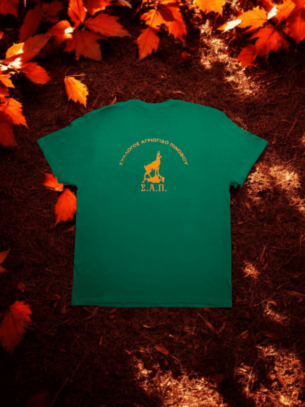 T-Shirt "ΣΑΠ" - Πράσινο με πορτοκαλί - Image 2