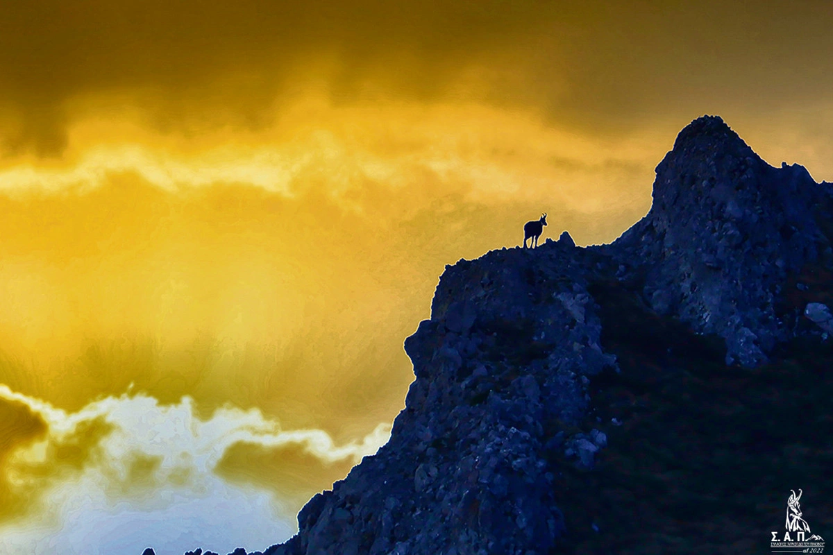 Ευχαριστούμε τον Ελεύθερο Τύπο για την προβολή του έργου μας